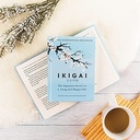 Ikigai : the Japanese Secret to a Long and Happy Life