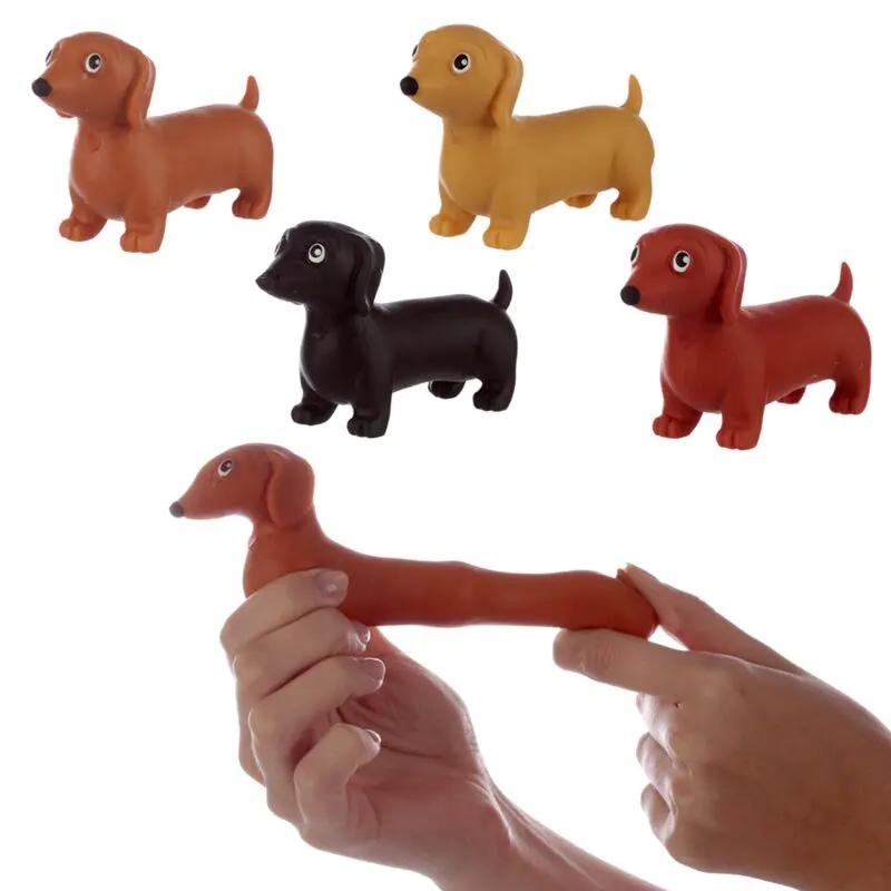 Stretch Dachshund