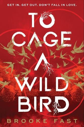 To Cage a Wild Bird by Brooke Fast (Hardback)