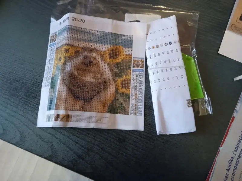 Vinted Diamonds painting: Hedgehog