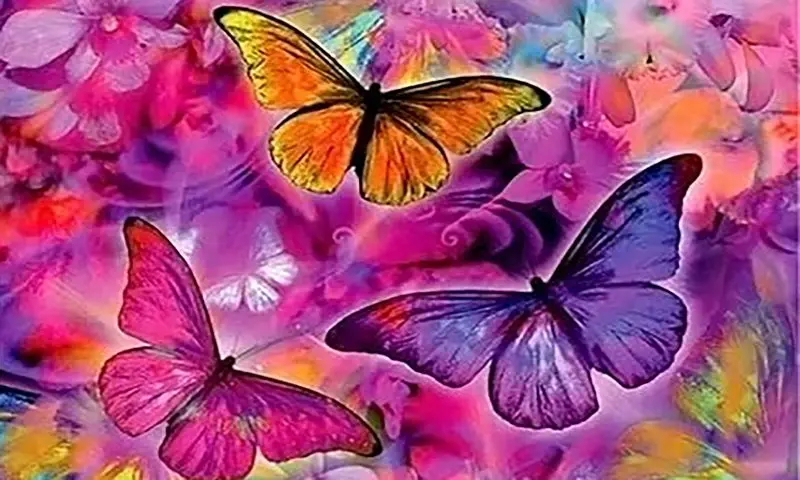 Diamond Painting, 25x15cm - Butterflies